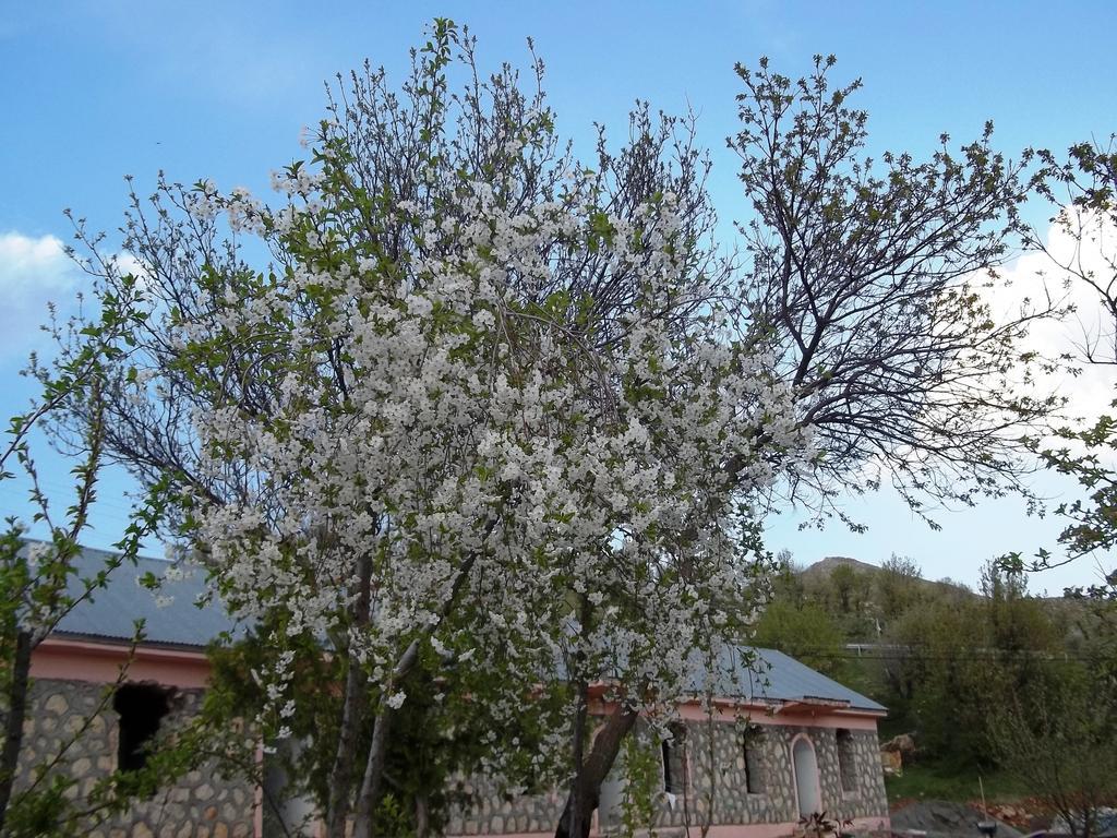 نيمروت كيرفانساراي أوتيل Karadut  المظهر الخارجي الصورة