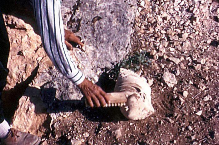 نيمروت كيرفانساراي أوتيل Karadut  المظهر الخارجي الصورة